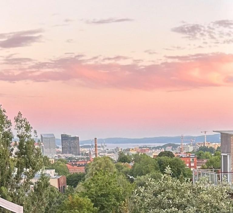 Utsikt fra balkong og stue. Sommerkveld!